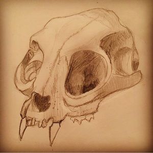 “Here Kitty” graphite on paper